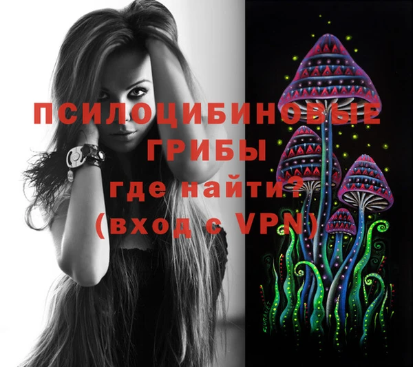 тгк Медвежьегорск