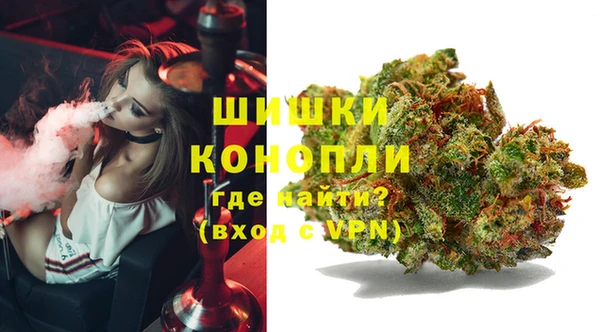 МДПВ Медногорск