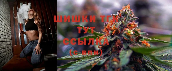 МДПВ Медногорск