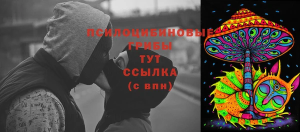 тгк Медвежьегорск