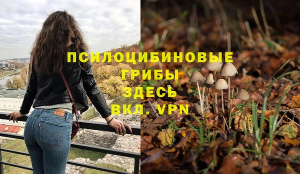 ПСИЛОЦИБИНОВЫЕ ГРИБЫ Мегион