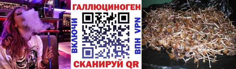 Псилоцибиновые грибы Magic Shrooms  darknet состав  Приволжск 